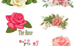 动漫玫瑰,动漫中的浪漫传奇